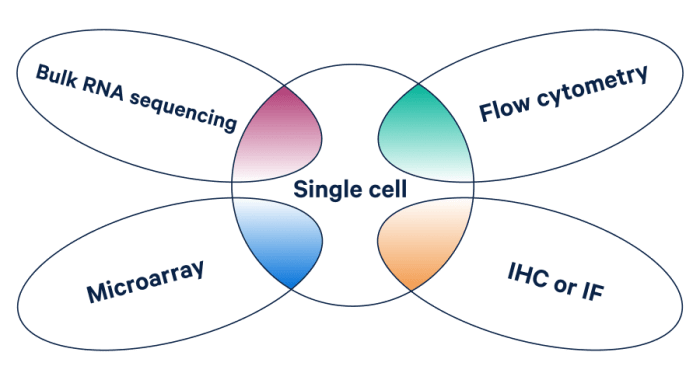 Venn diagram of different research methods