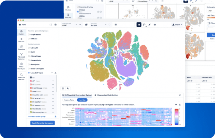 Software screenshot of Loupe Browser