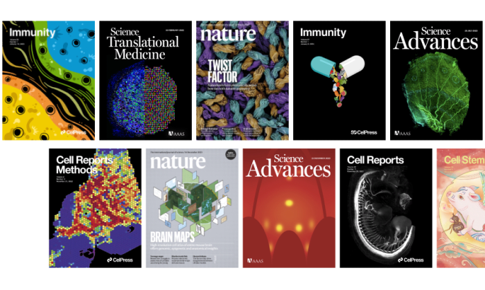 Research journal covers