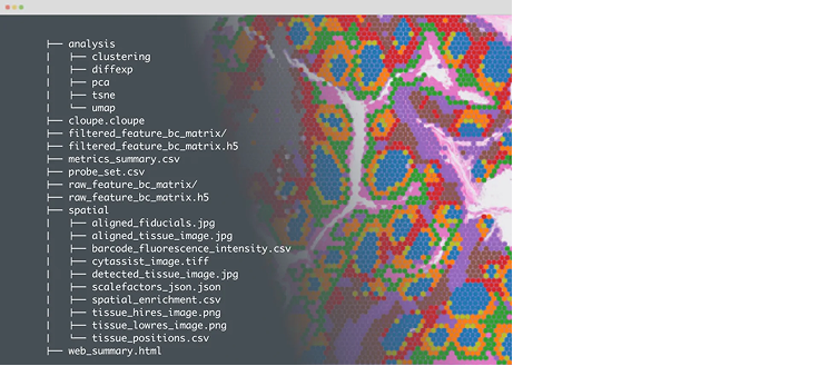 Space Ranger Analysis Pipelines image