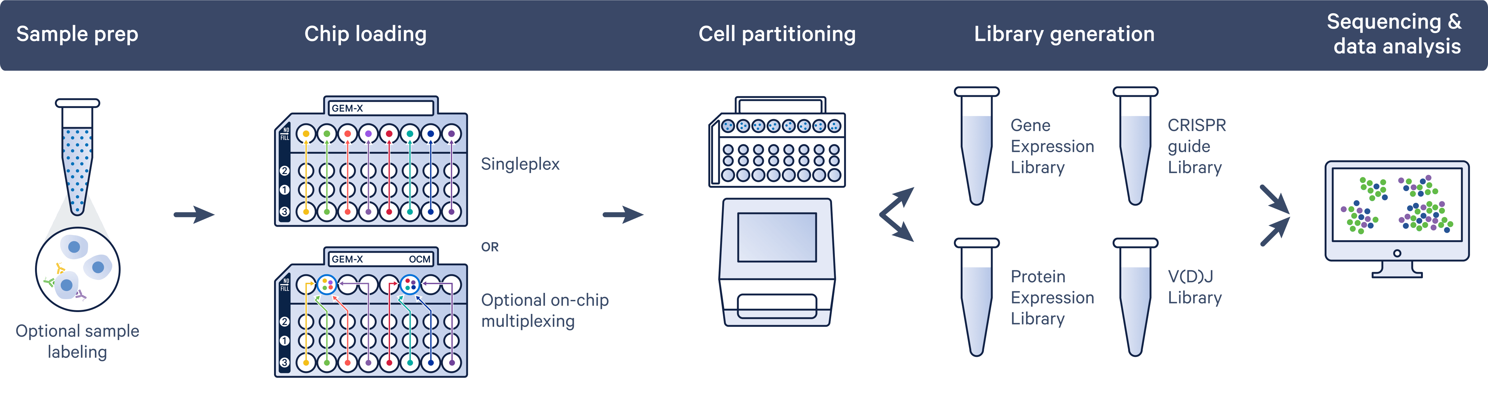 Worflow overview diagram